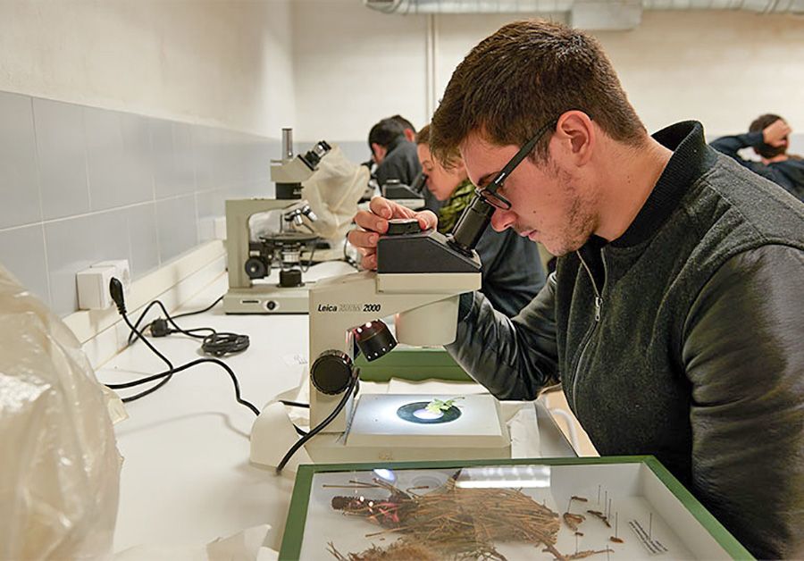 estudante nun laboratorio