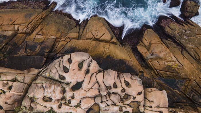 Feridas, de José Luis Gigirey, fotografía gañadora do 1º premio