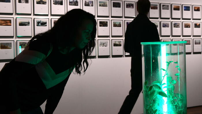 A mostra pode visitarse ata o 28 de febreiro. Foto: Santi Alvite