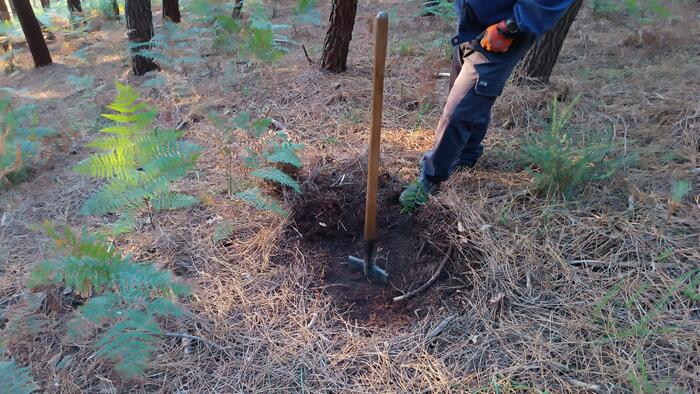 Detalle dun dos traballos realizados en Araño