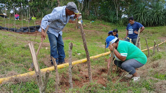 A estratexia baséase no establecemento de laboratorios vivos