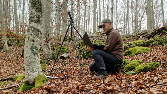 Yago Lestido is a researcher at PROePLA.
