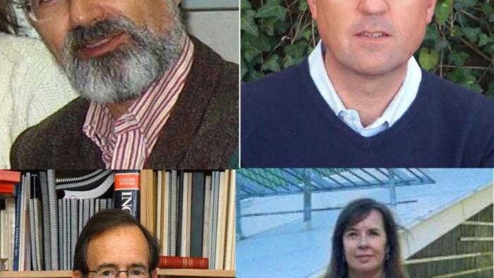 De arriba a abaixo e de esquerda a dereita, os premiados Diéguez, Mascareñas, Bermúdez e Moreira