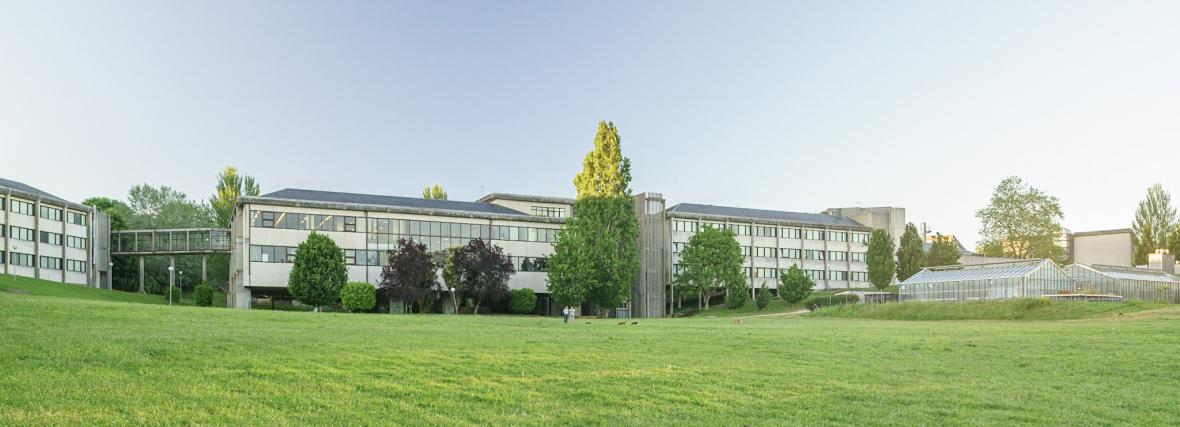 Faculty of Veterinary Medicine Faculty of Veterinary Medicine