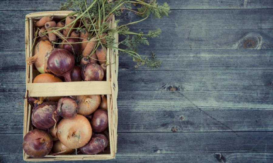 Imaxe representativa Imaxe representativa