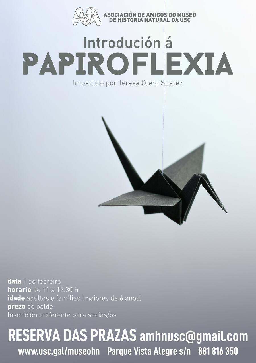Introdución á papiroflexia