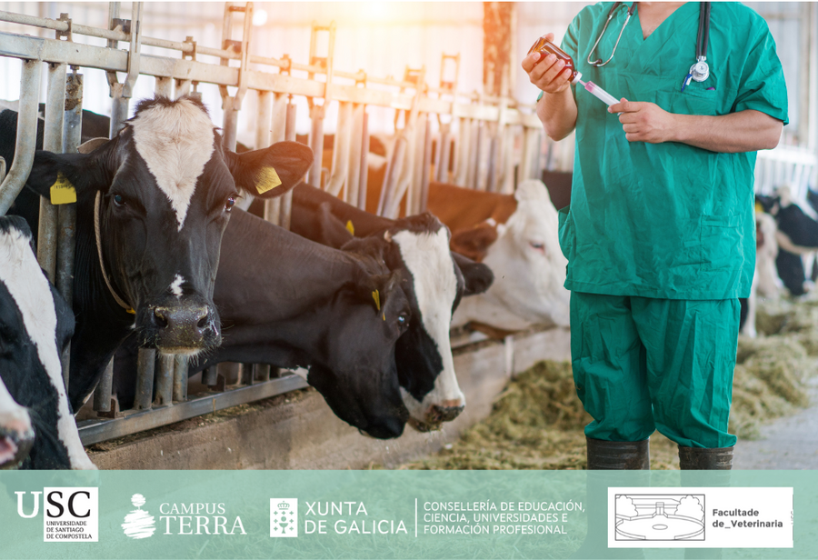 Imaxe do seminario Imaxe do seminario