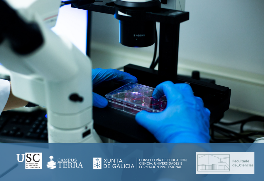 Imaxe do curso Imaxe do curso