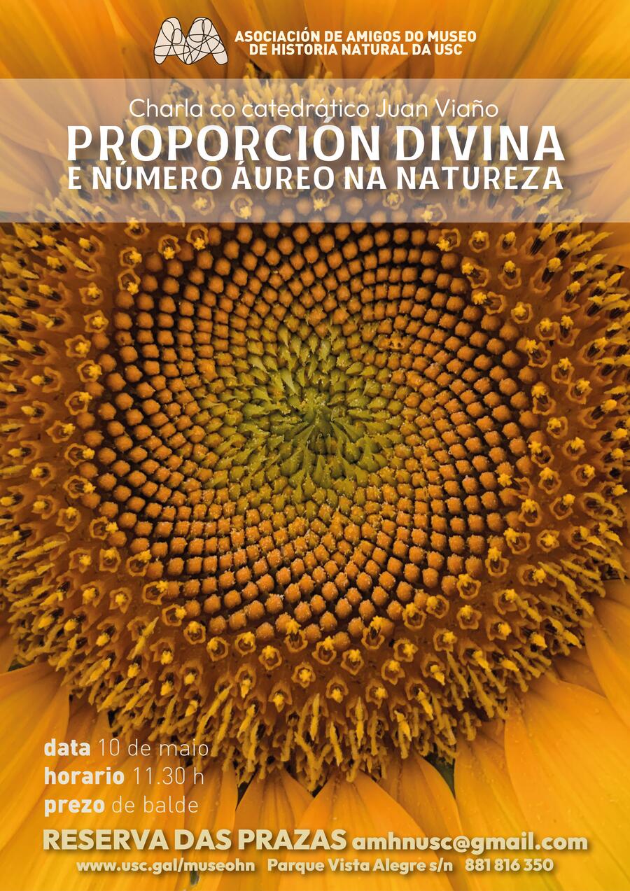 Cartel Proporción áurea