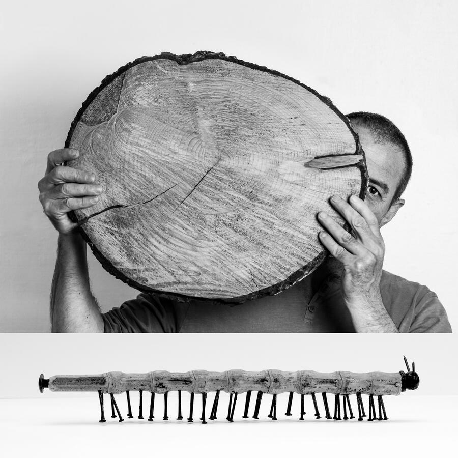 Tin, por Paula Iglesias