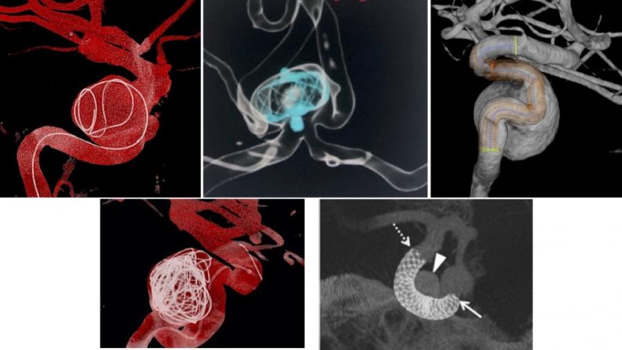 Imaxe relacionada coa Cátedra