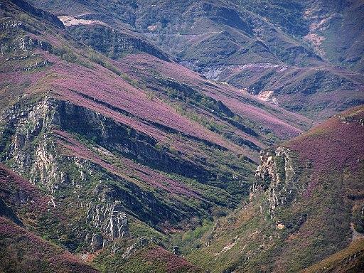 Pregamento de Campodola