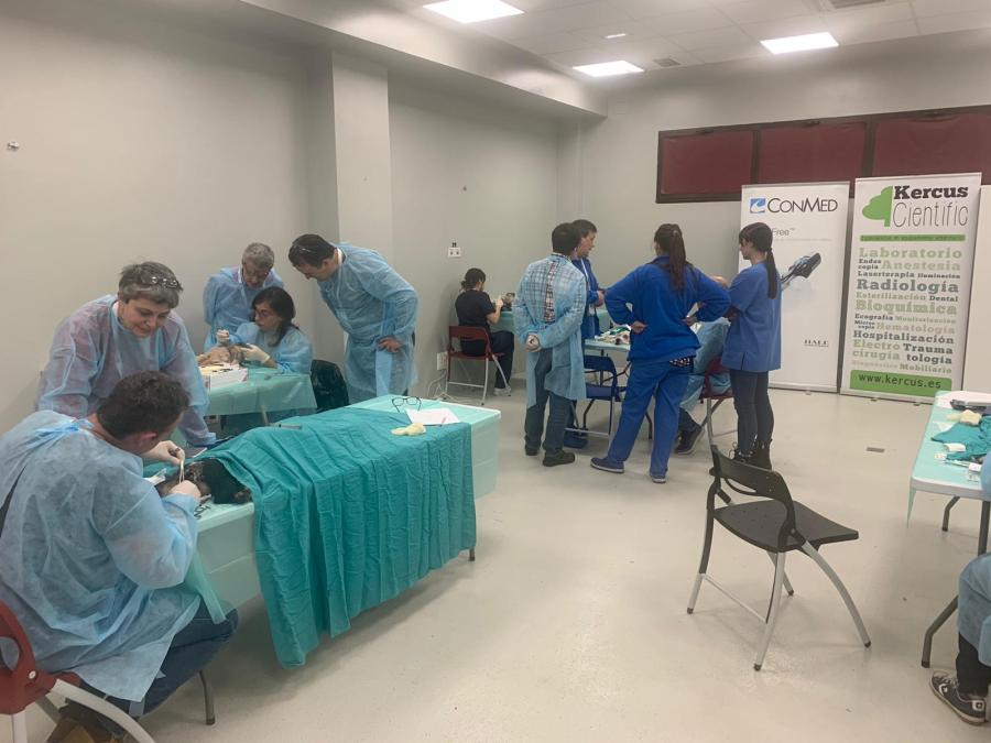 Talleres de ciruxía veterinaria desenvolvidos nas instalacions do hostital veterinario Rof Codina