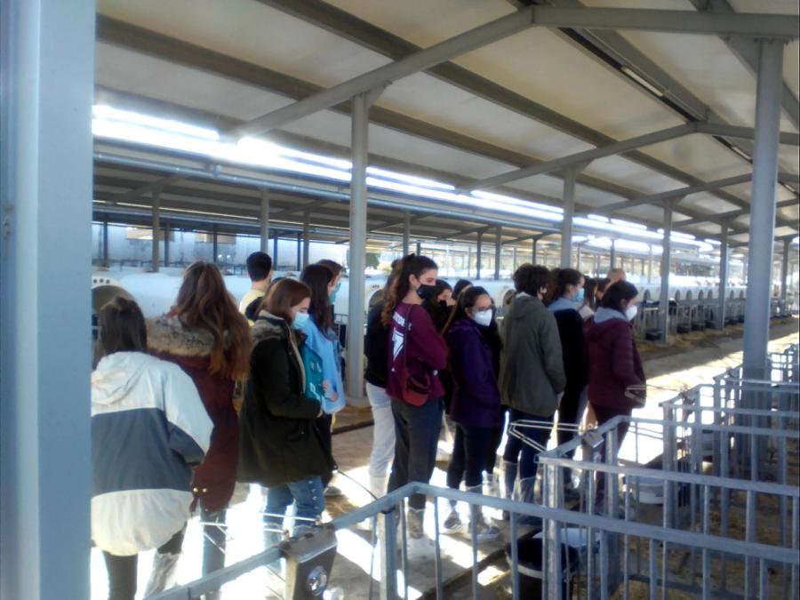 Alumnado de Veterinaria nas instalacións do centro de recría de xatas de Castro