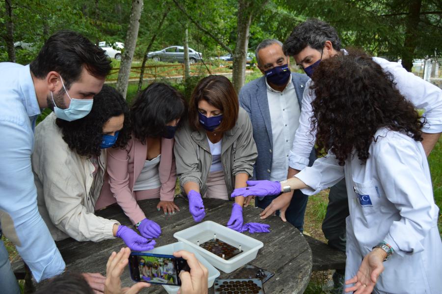 Ameijide, Do Campo, Valcárcel, Vázquez, Carballo, Arias y Ondina, en O Veral