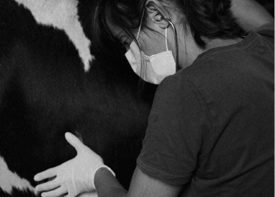 Certame Ruth Matilda Anderson 