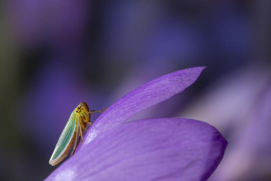 ‘Outras cores do outono’ de José Otero obtivo o segundo premio