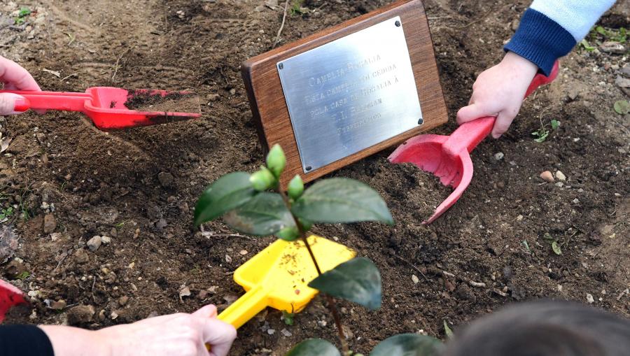 Xunto á camelia, enterrouse unha “caixa do tempo” cos datos máis relevantes da especie. FOTO: Santi Alvite