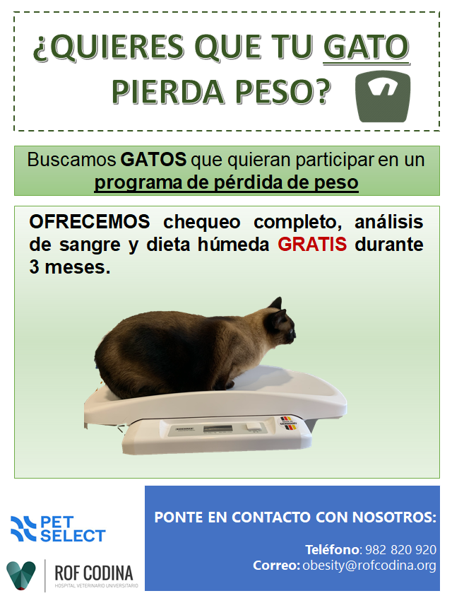 Cartaz informativo da campaña para gatos