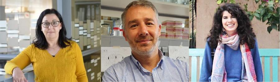 De esquerda a dereita, Olga Barca, Miguel Gómez e María Luengo Mateos, parte do equipo responsable do estudo.