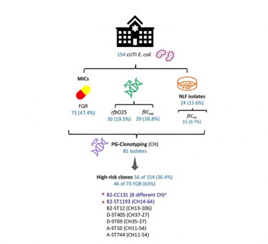 Esquema do protocolo de vixilancia