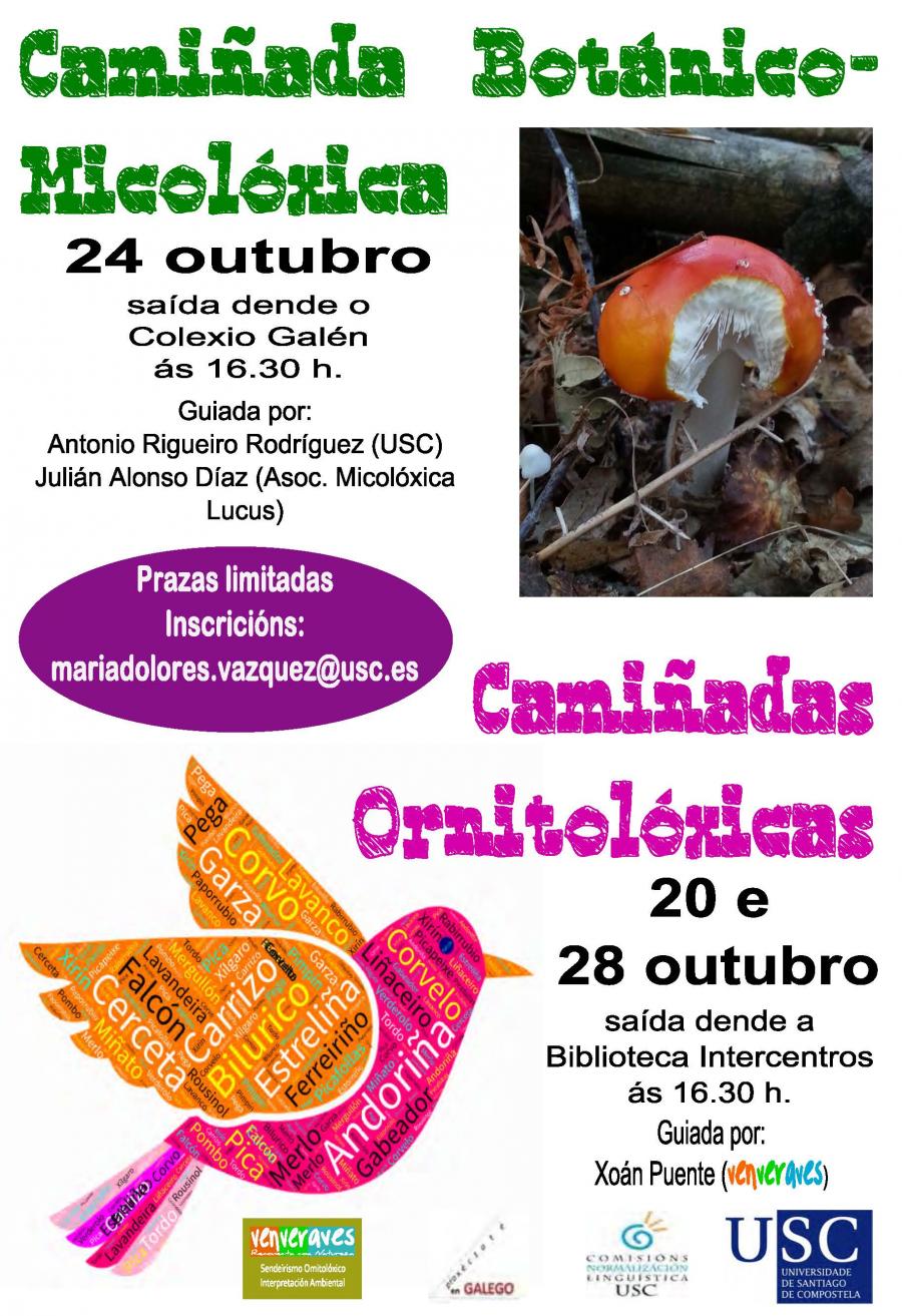 Camiñadas micolóxicas e ornitolóxicas (2016) Camiñadas micolóxicas e ornitolóxicas (2016)