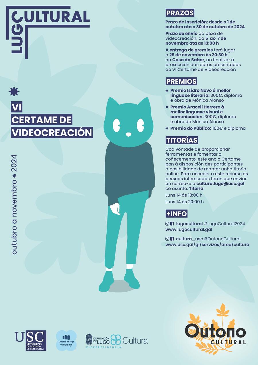 Cartel de Videocreación