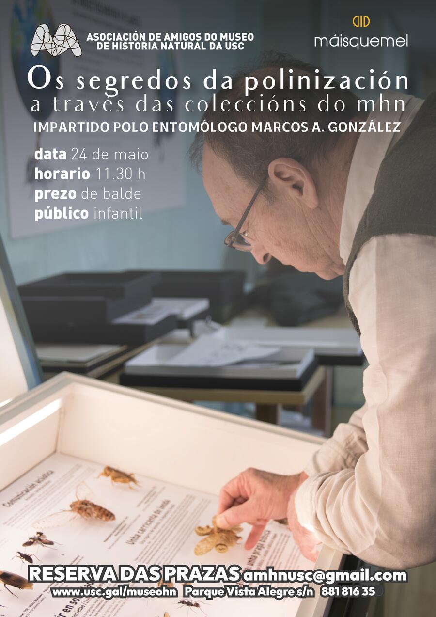 Os segredos da polinización a través das coleccións do mhn