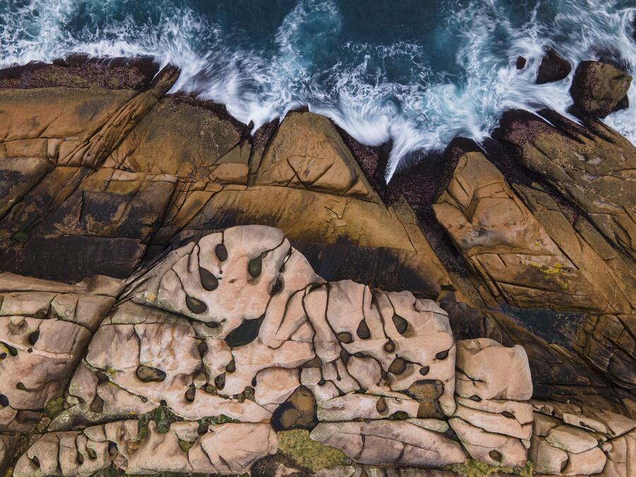 Feridas, de José Luis Gigirey, fotografía gañadora do 1º premio
