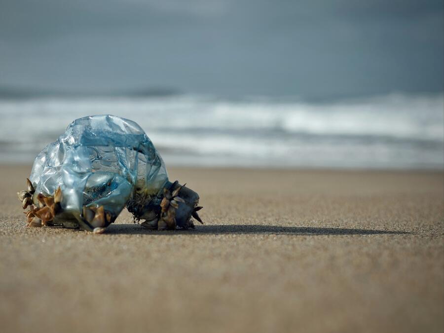 Plástico y plástico, de Antonio Soto Rey, fotografía gañadora do 3º premio