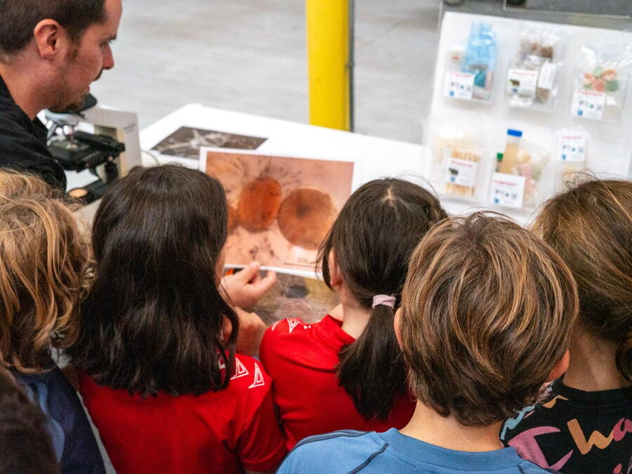 Os nenos e nenas interesáronse por todas as actividades