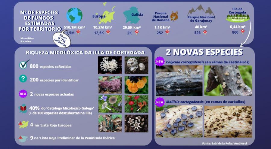 A riqueza micolóxica da illa en cifras. Imaxe: Pilar Grela
