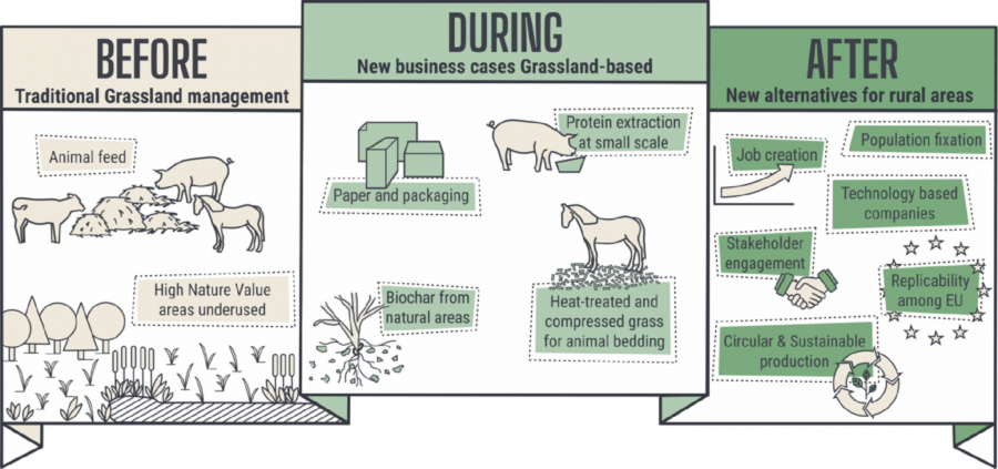 Esquema visual da actuacións propostas ao abeiro do proxecto GO-GRASS
