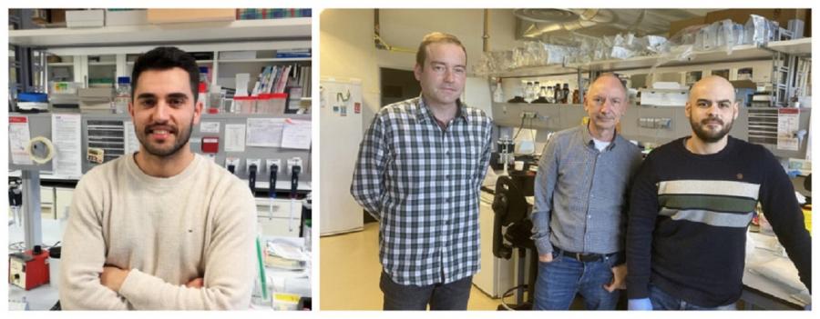 De esquerda a dereita, Anxo Martínez Ordóñez, Samuel Seoane, Román Pérez e Leandro Ávila