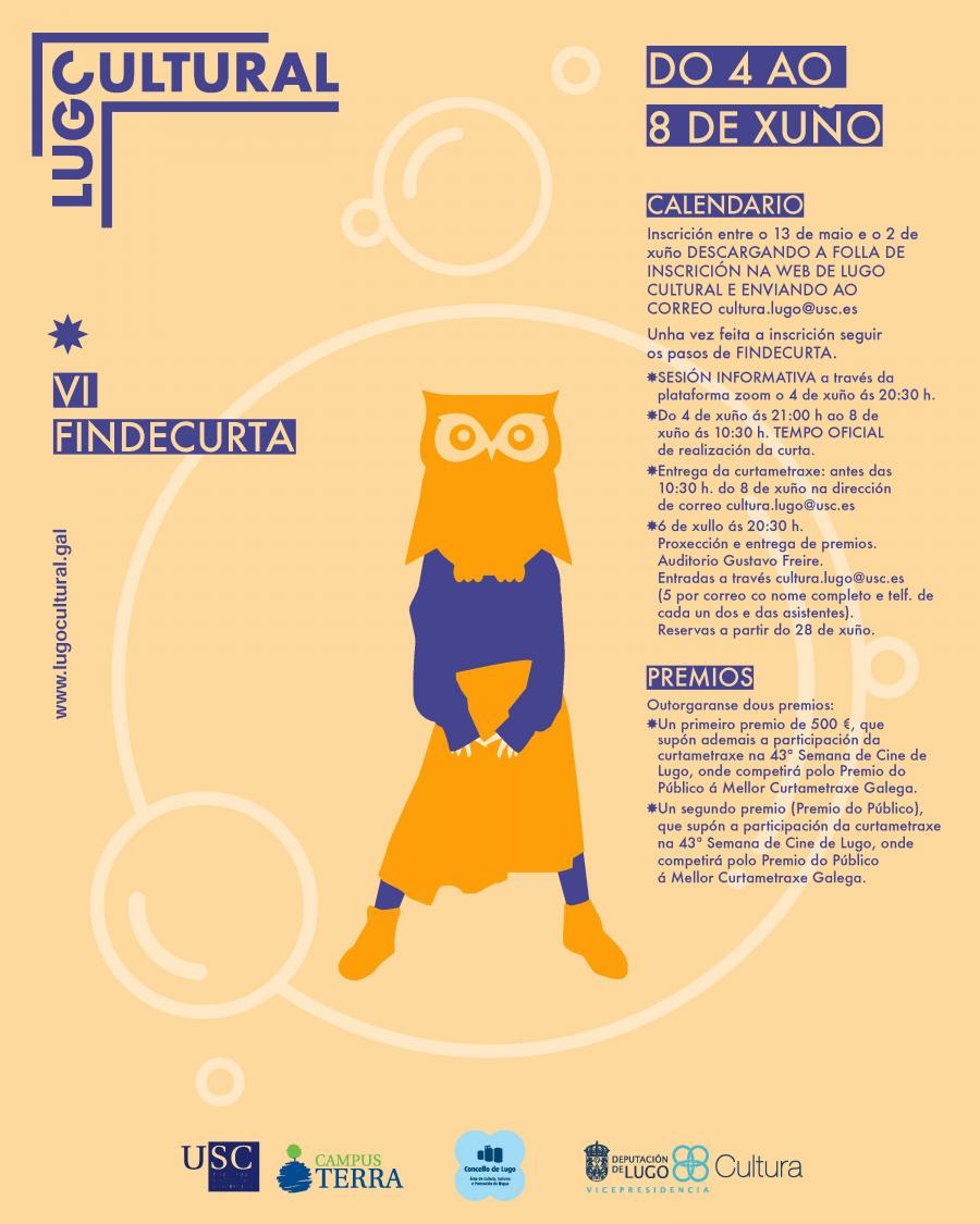 Cartaz do VI Findecurta