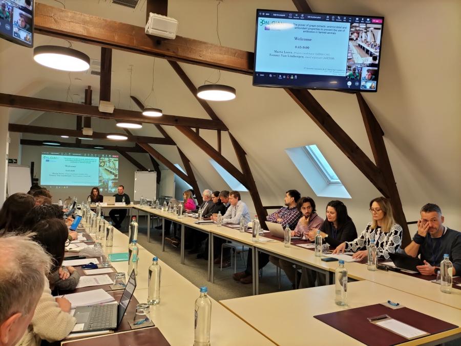 O consorcio atópase integrado por 20 socios de nove países