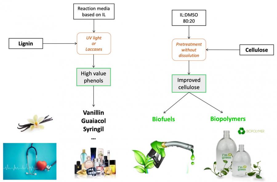 Fraccionamento de biomasa lignocelulósica