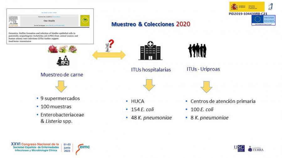 Gráfico representativo do traballo de investigacion desenvolvido