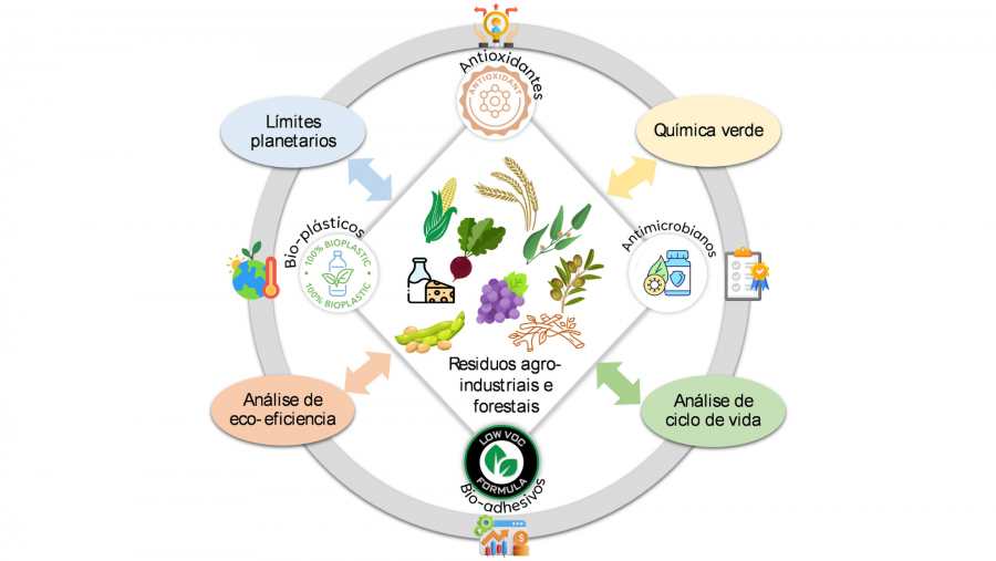 Figura explicativa da avaliación dos modelos produtivos