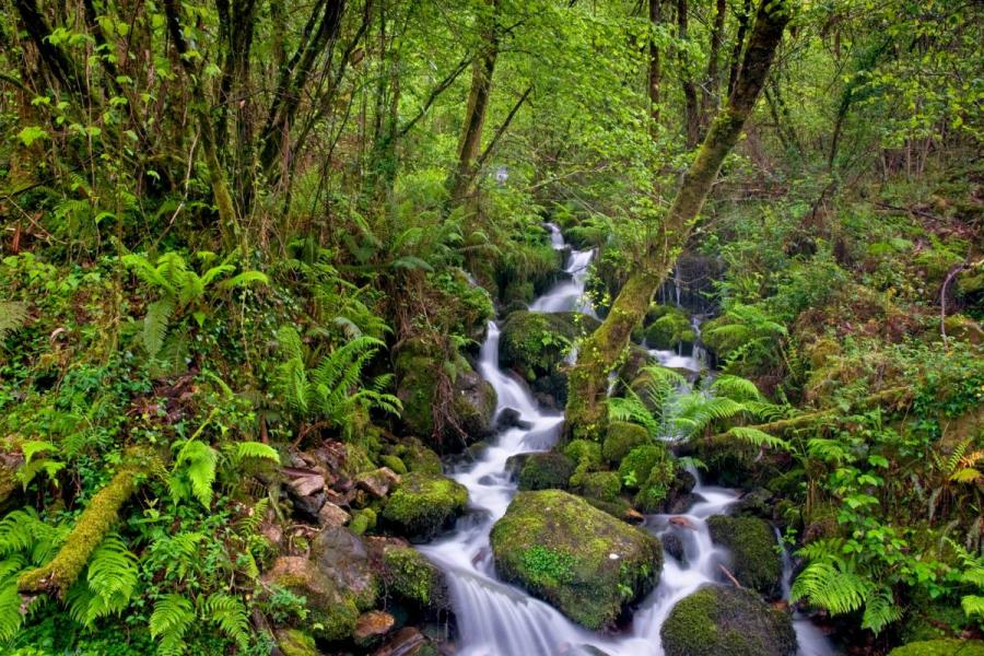 Vista de un precioso paraje en un monte gallego