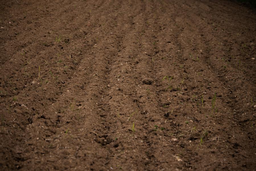 El suelo, entre otras muchas cosas, contribuye a la regulación del clima a través del ciclo del carbono