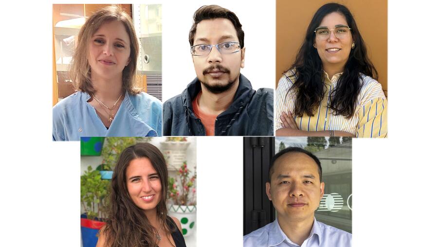 De esquerda a dareita e de arriba a abaixo: M. Inés Paiva, Adrindam Mal, Mafalda Gonçalves, Verónica Relano e Lin Chen