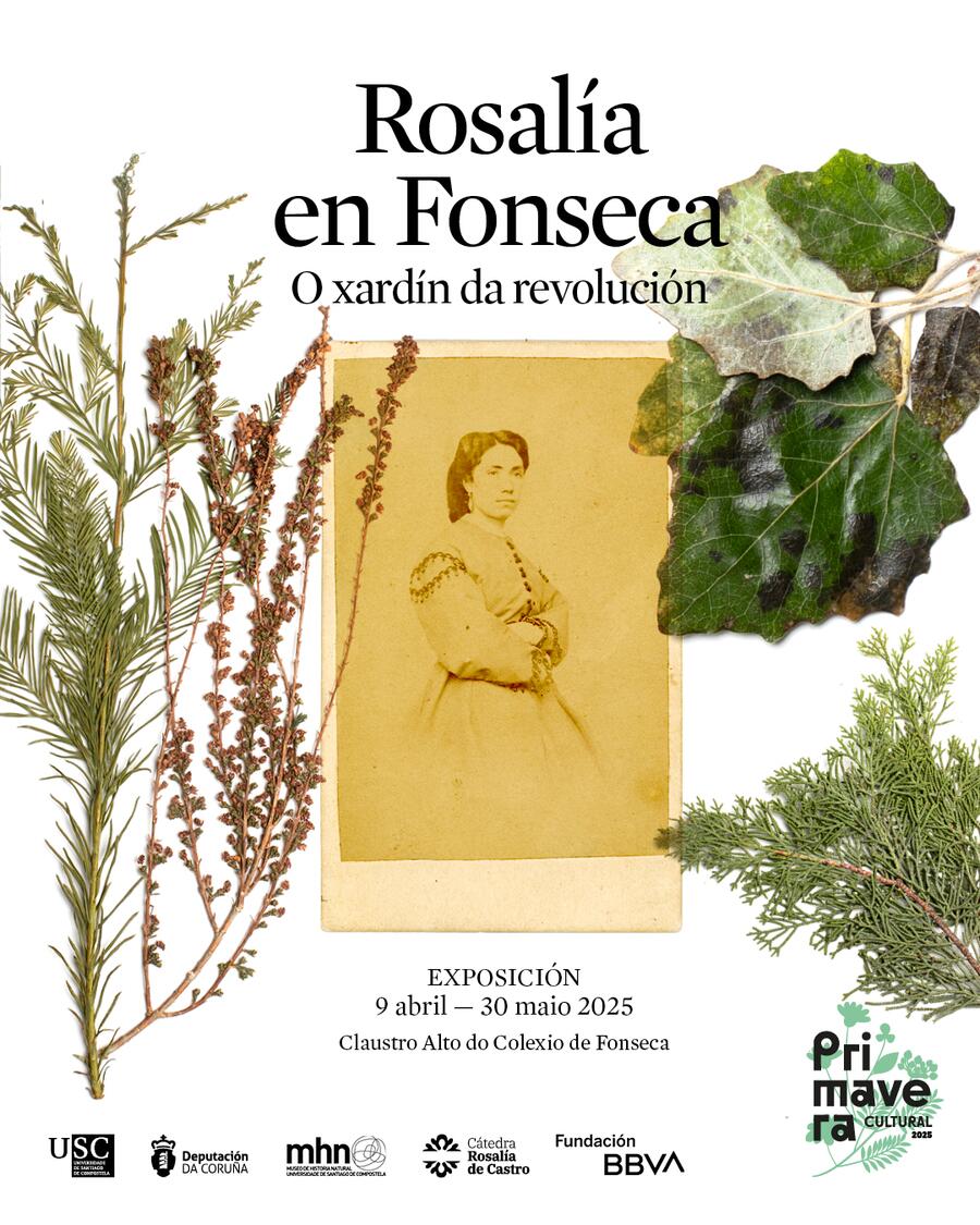 Cartel da exposición Rosalía en Fonseca. O xardín da revolución