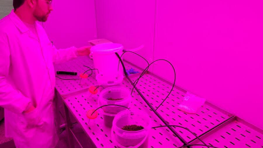 Co proxecto buscan xerar fertilizantes orgánicos eficientes para reducir a dependencia dos sintéticos