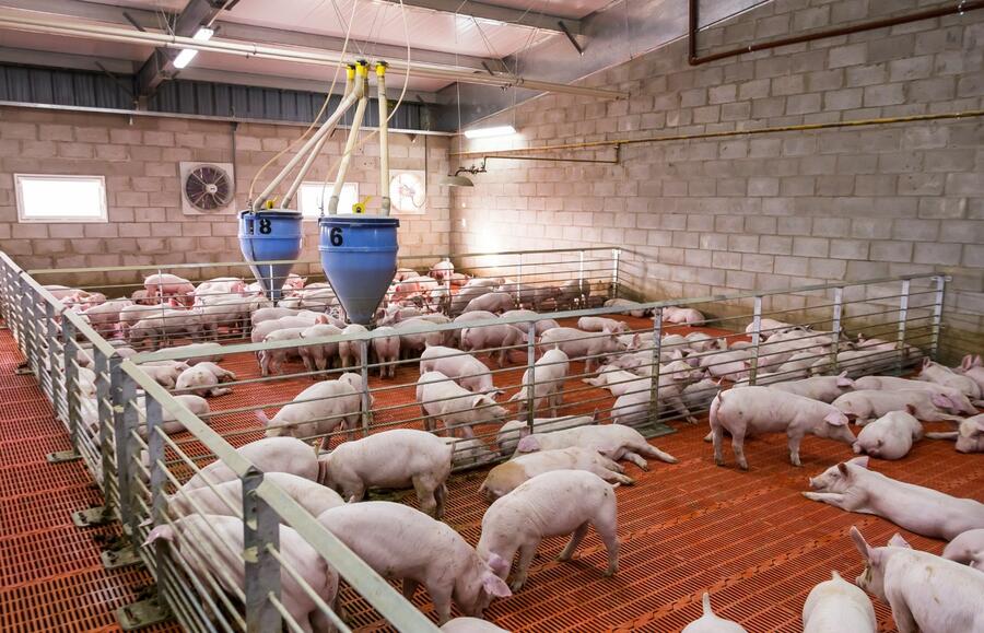 Pathogen detection in environmental samples is more efficient, reduces economic cost and increases animal welfare compared to traditional techniques Pathogen detection in environmental samples is more efficient, reduces economic cost and increases animal welfare compared to traditional techniques