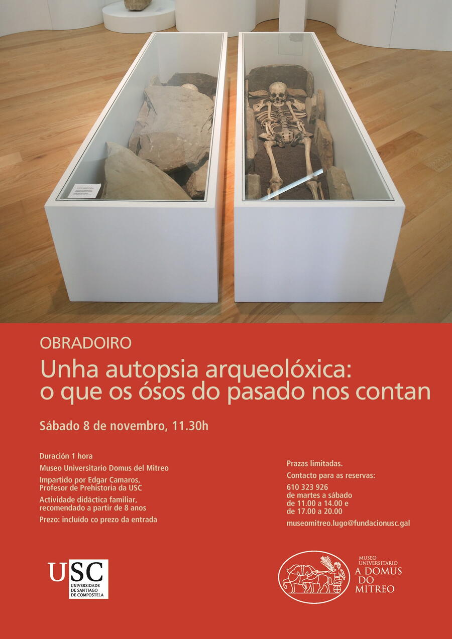 Cartel da actividade