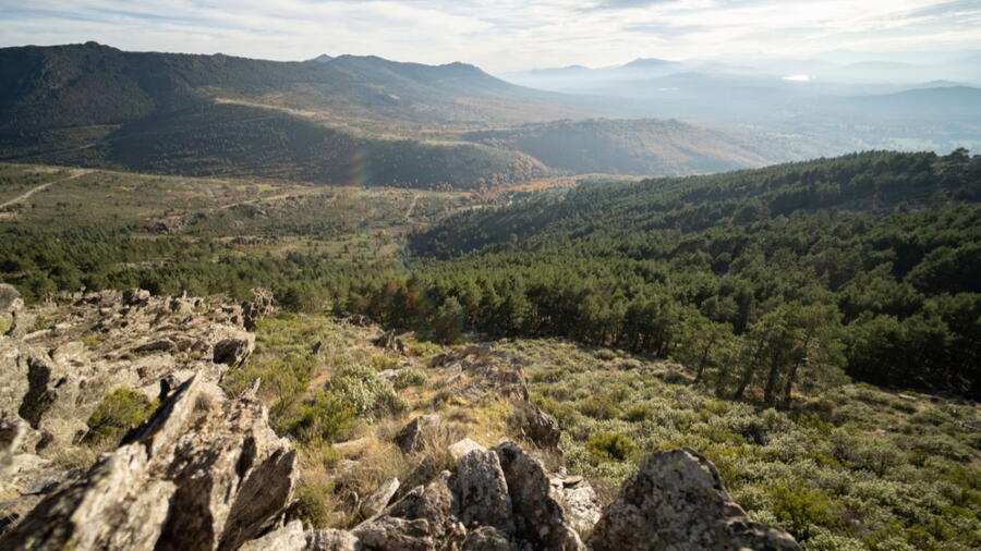  The UXAFORES group has been working for years to determine the degree of contamination occurring in soils, plants, and waters in Galicia