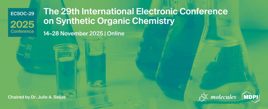 Banner da 29 edición da ECSOC