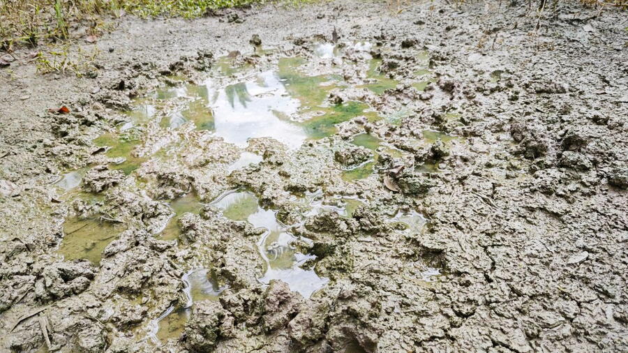 View of mud with heavy metals accumulated in the soil