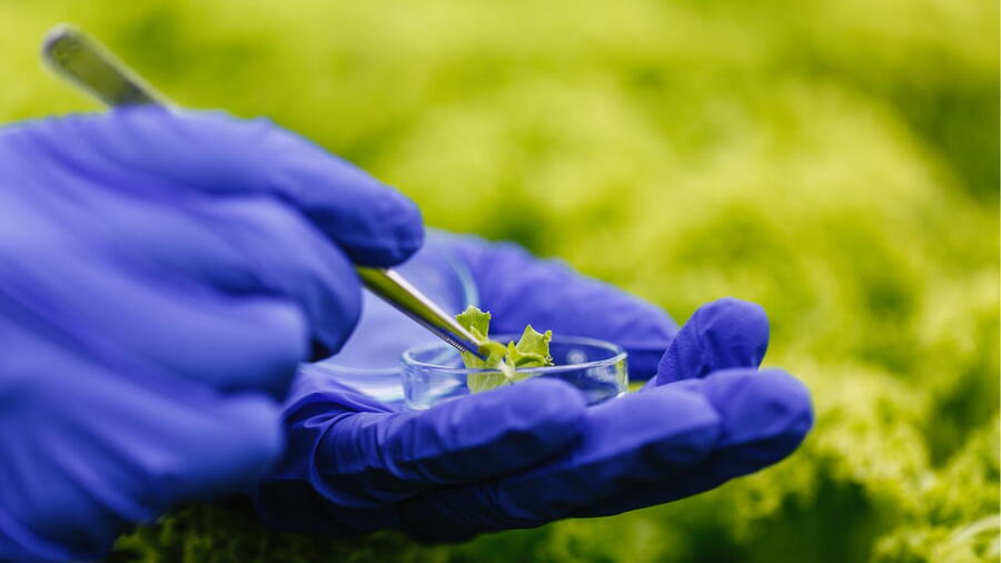 A researcher collects samples on a farm.